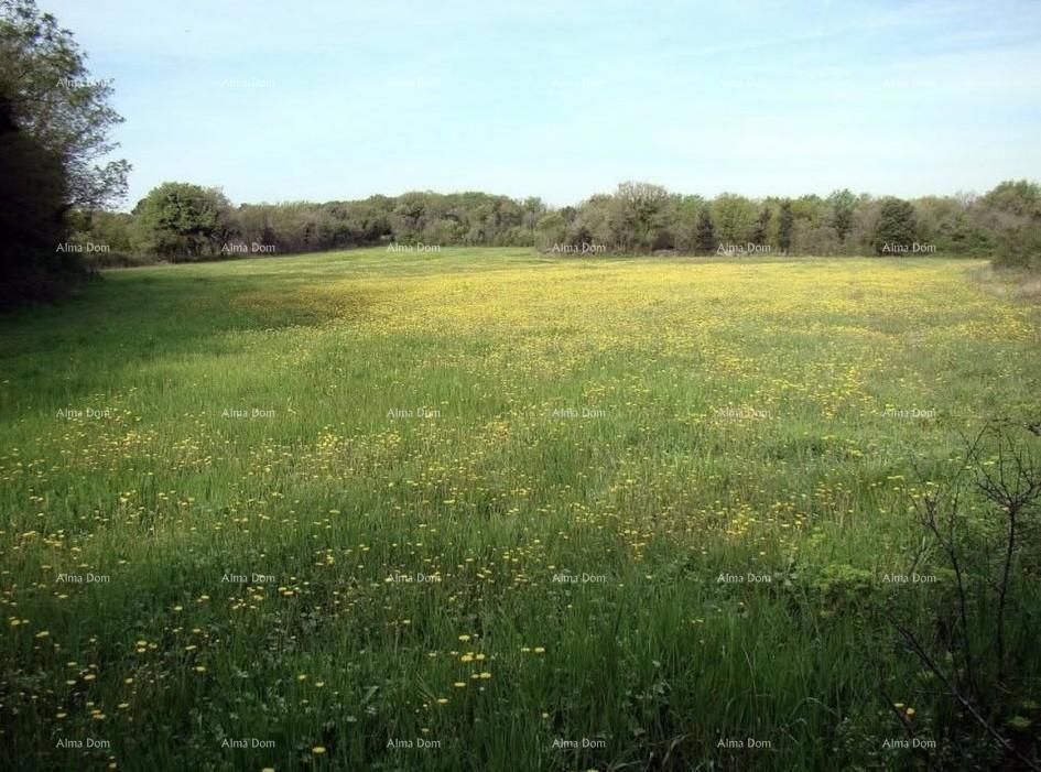 Investicijska priložnost! Prodaja gradbenega zemljišča turistično-gostinske namene - T zona, Ližnjan!
