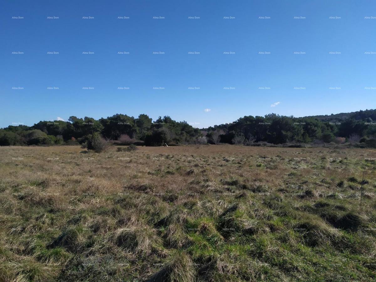 GRAĐEVINSKO ZEMLJIŠTE, 1164 m2 – VOLME