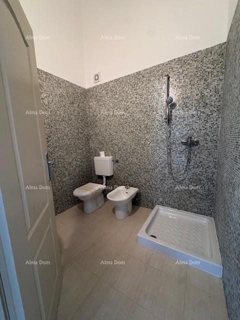 Trosoban stan s pogledom na more i Brijune!