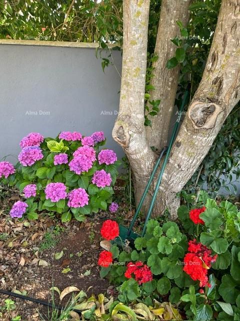 Istra, Ližnjan, 1 km do centra Medulina, nova moderna hiša z bazenom za počitnice.