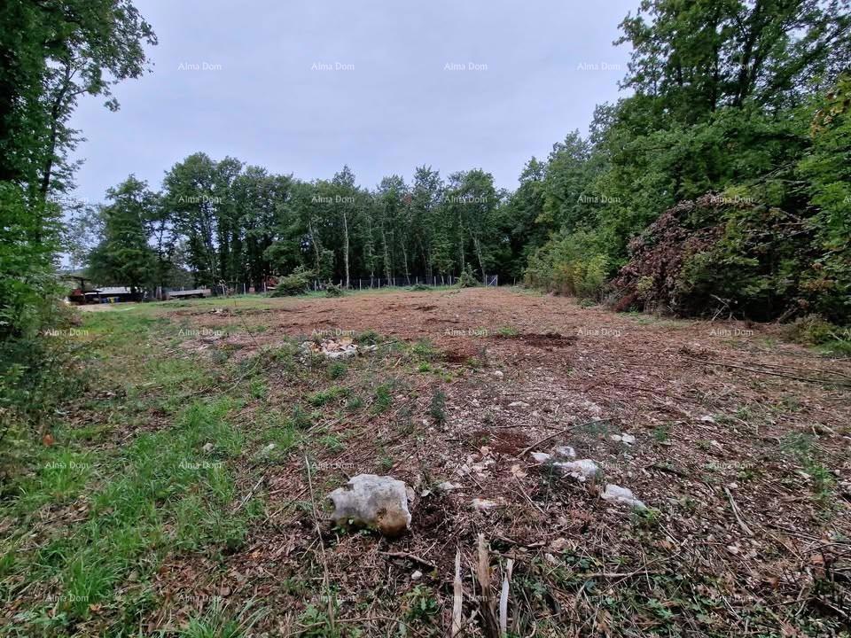 Gradbeno zemljišče Brtonigla