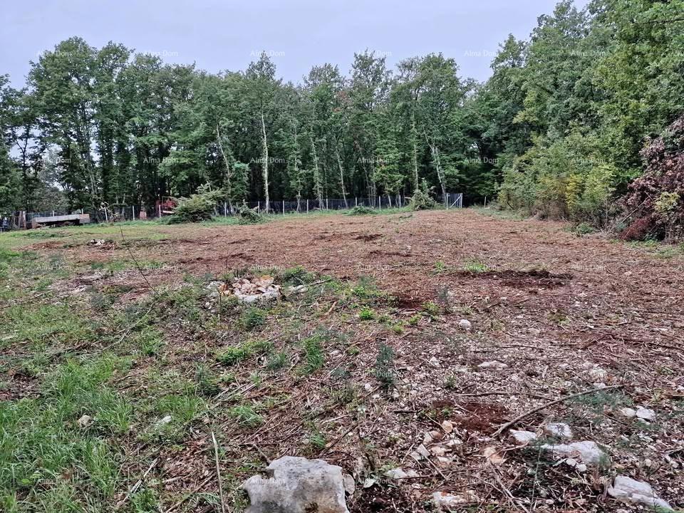 Gradbeno zemljišče Brtonigla