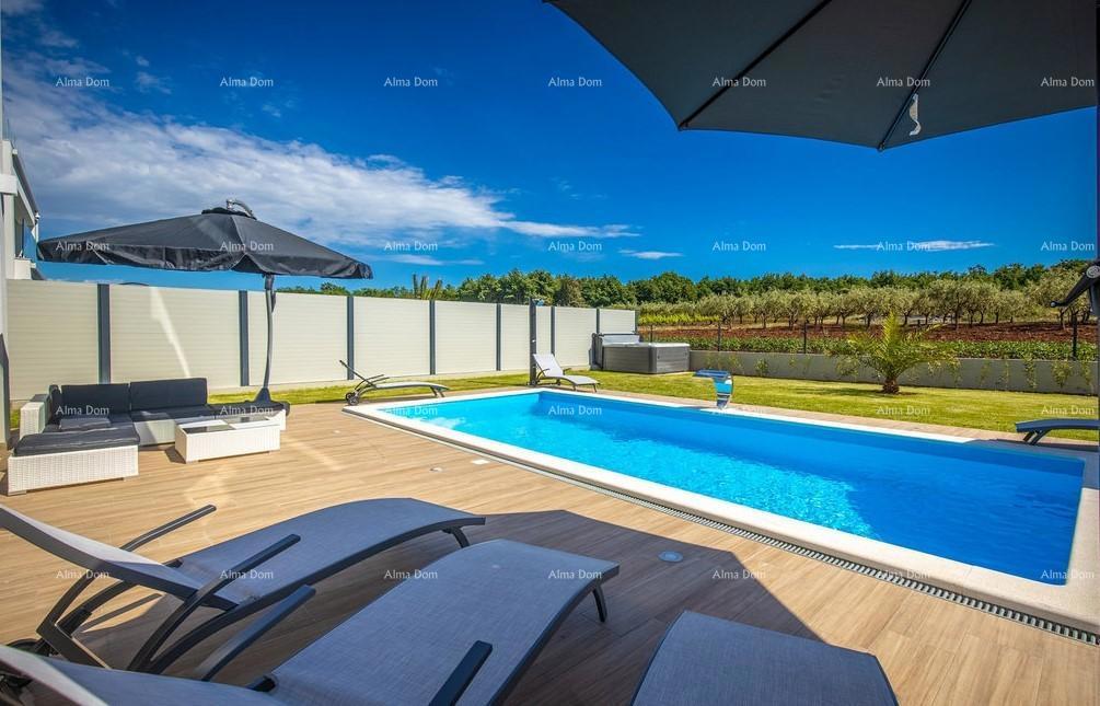 No translation could be generated. Please check the input or API configuration.