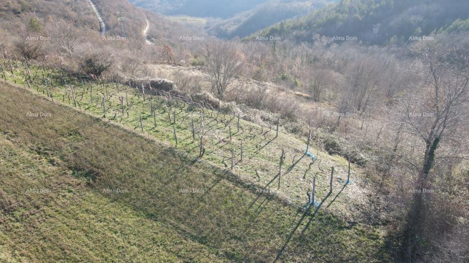 KAŠČERGA – Atraktivno gradbeno zemljišče 1665 m2 s pogledom na Učko