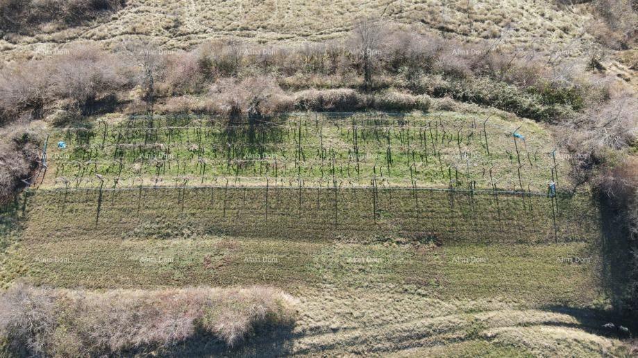 KAŠČERGA – Atraktivno gradbeno zemljišče 1665 m2 s pogledom na Učko