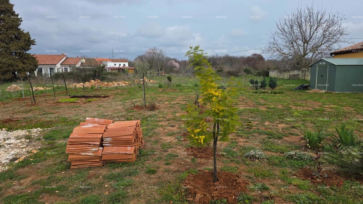 Pogled na morje!! Prodaja zemljišča z gradbenim dovoljenjem in projektom, okolica Vodnjana!