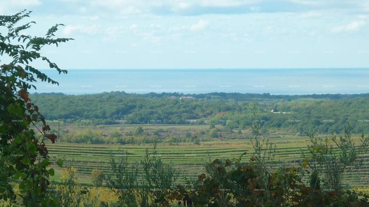 Buje – atraktivno zemljišče s pogledom na morje