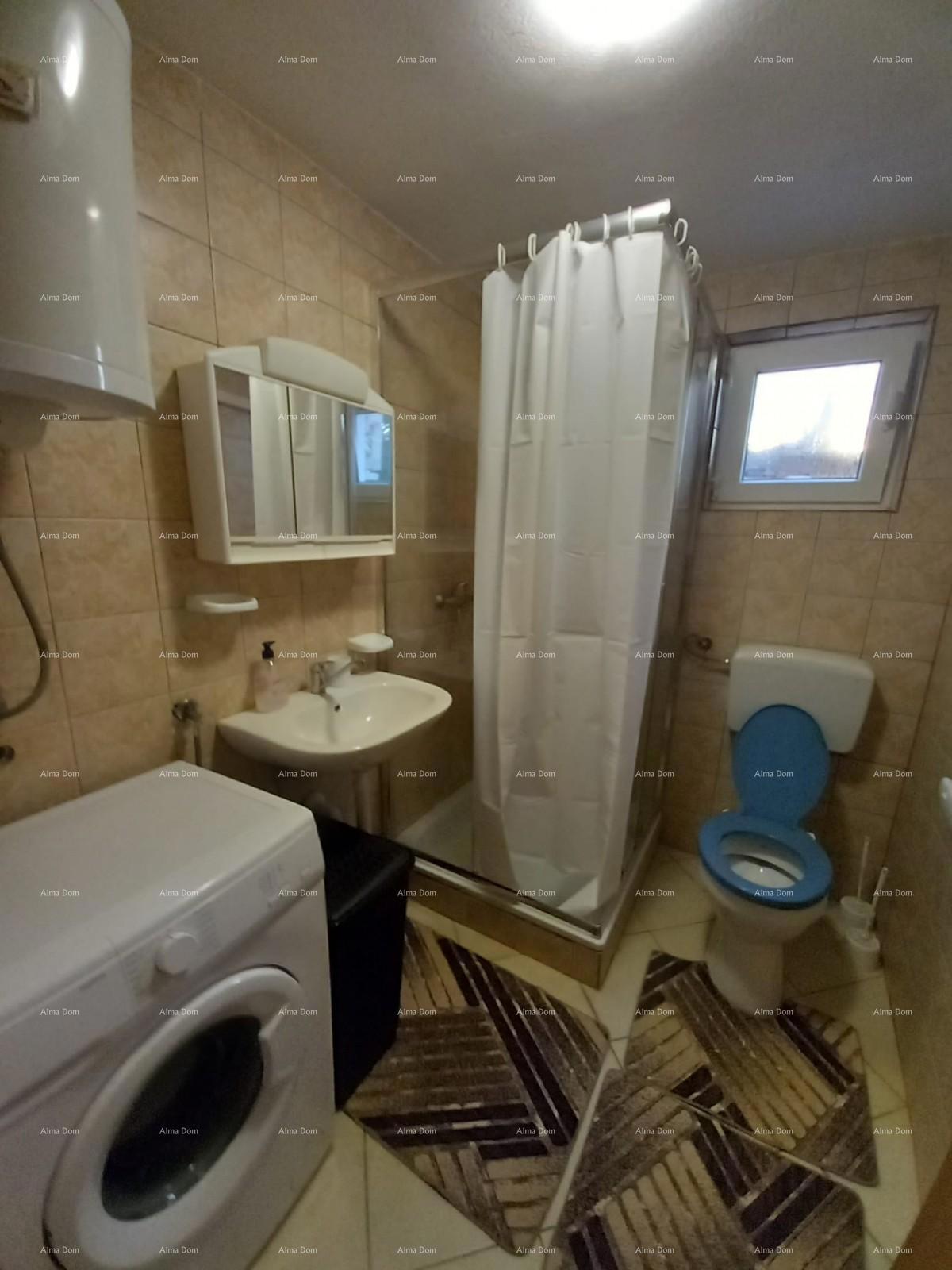 Prodaja hiše z dvema ločenima stanovanjem, Šišan!