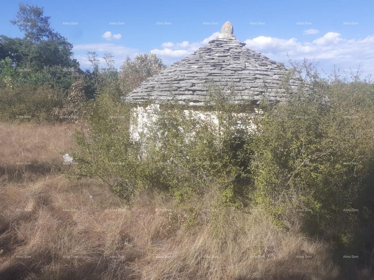 Kmetijsko zemljišče Juršići