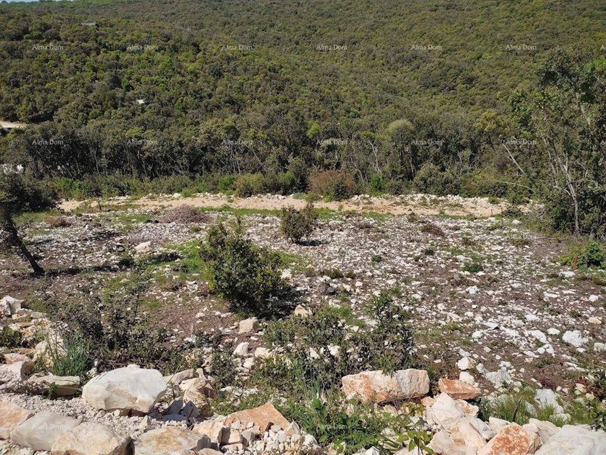 Prodaja kmetijskega zemljišča, Marčana