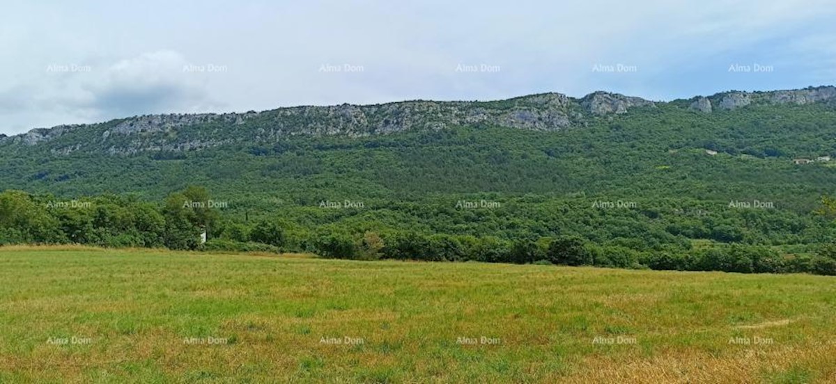 Prodamo zazidljivo zemljišče, 1374 m2, Buzet!