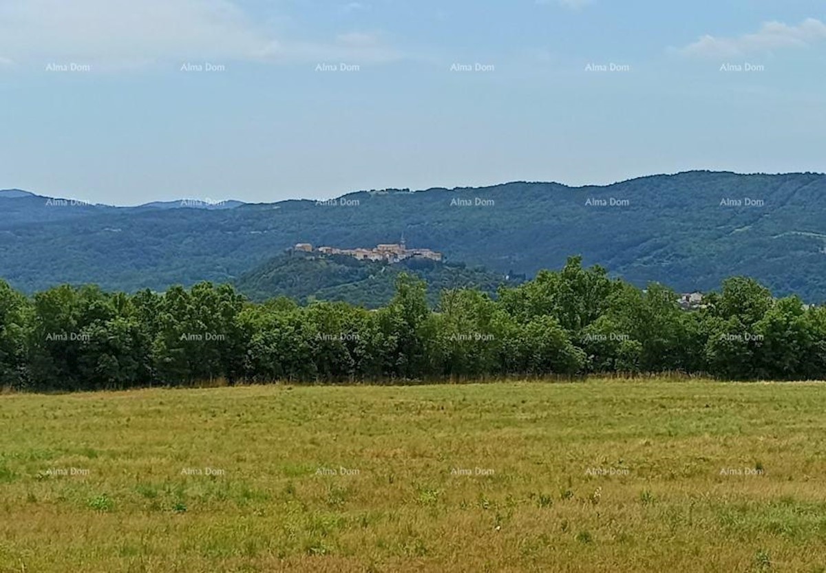 Prodamo zazidljivo zemljišče, 1374 m2, Buzet!