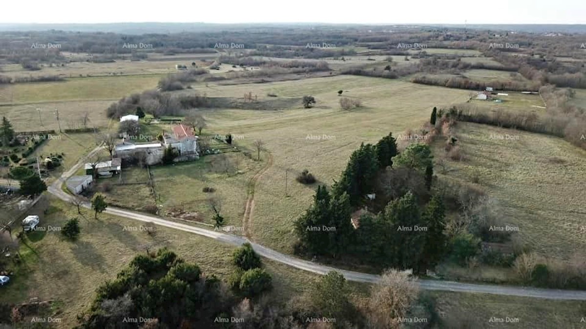 Prodamo zemljišče, površine 32900 m2, v okolici Barbana