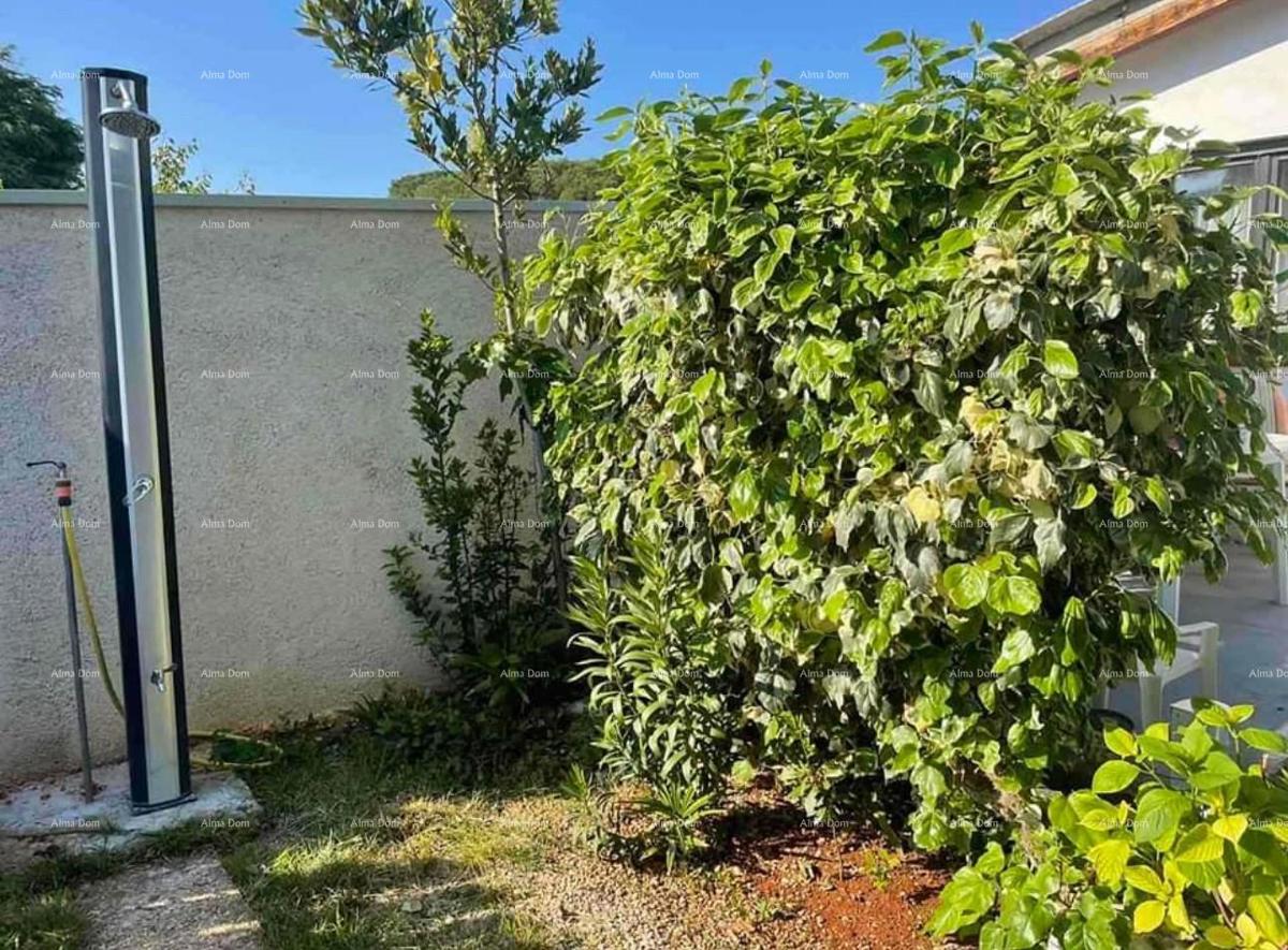 Prodamo hišo, 50 m od morja, Umag!