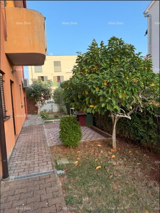 Na prodaj: Apartma v Novigradu z velikim vrtom.