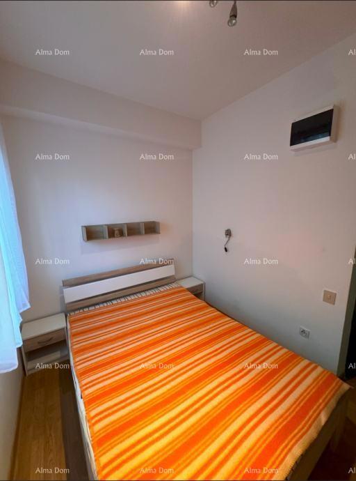 Na prodaj: Apartma v Novigradu z velikim vrtom.