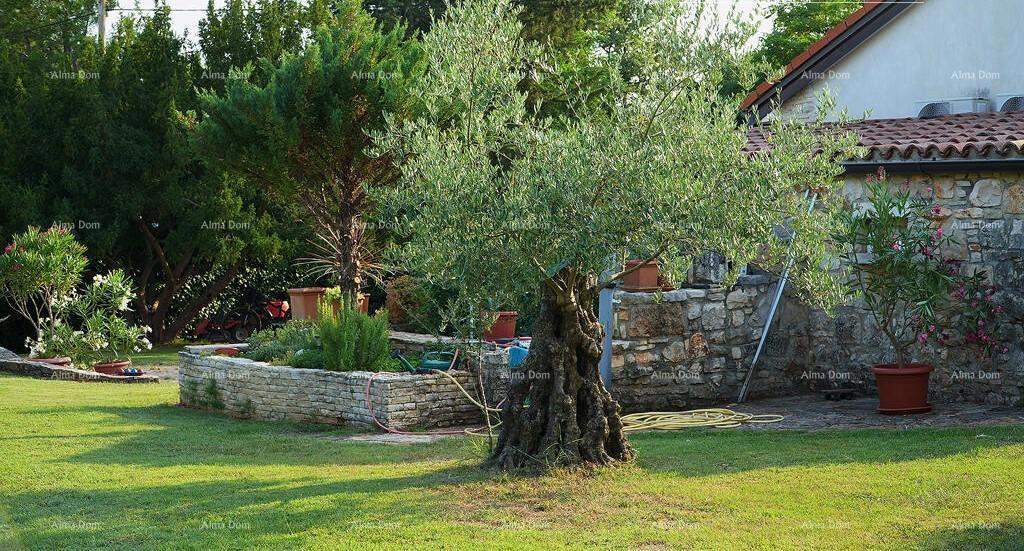 UMAG, Hiša, 144 m², z velikim vrtom in letno kuhinjo, popolnoma prenovljena!