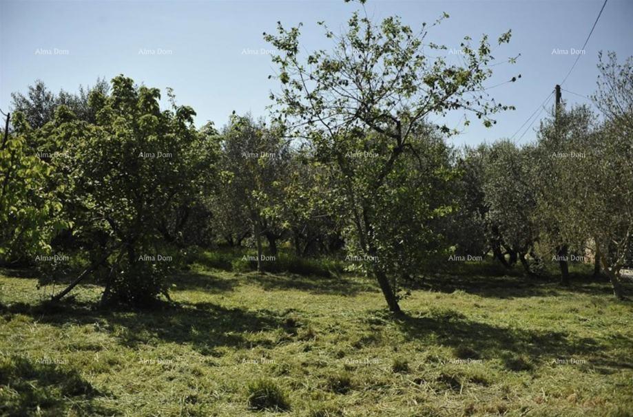 Građevinsko in kmetijsko zemljišče – Loborika
