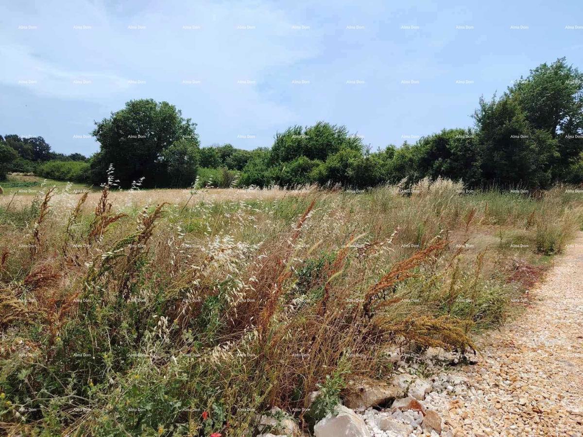 Prodaja gradbenega zemljišča, 550 m² - 15 km od Ližnjana