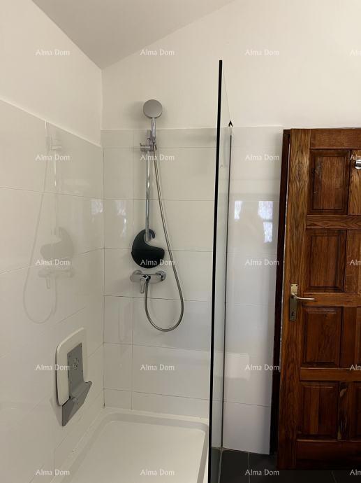 Elegantna kamena vila s bazenom in istarskim šarmom – popolna kombinacija tradicije in luksuza, Tinjan!