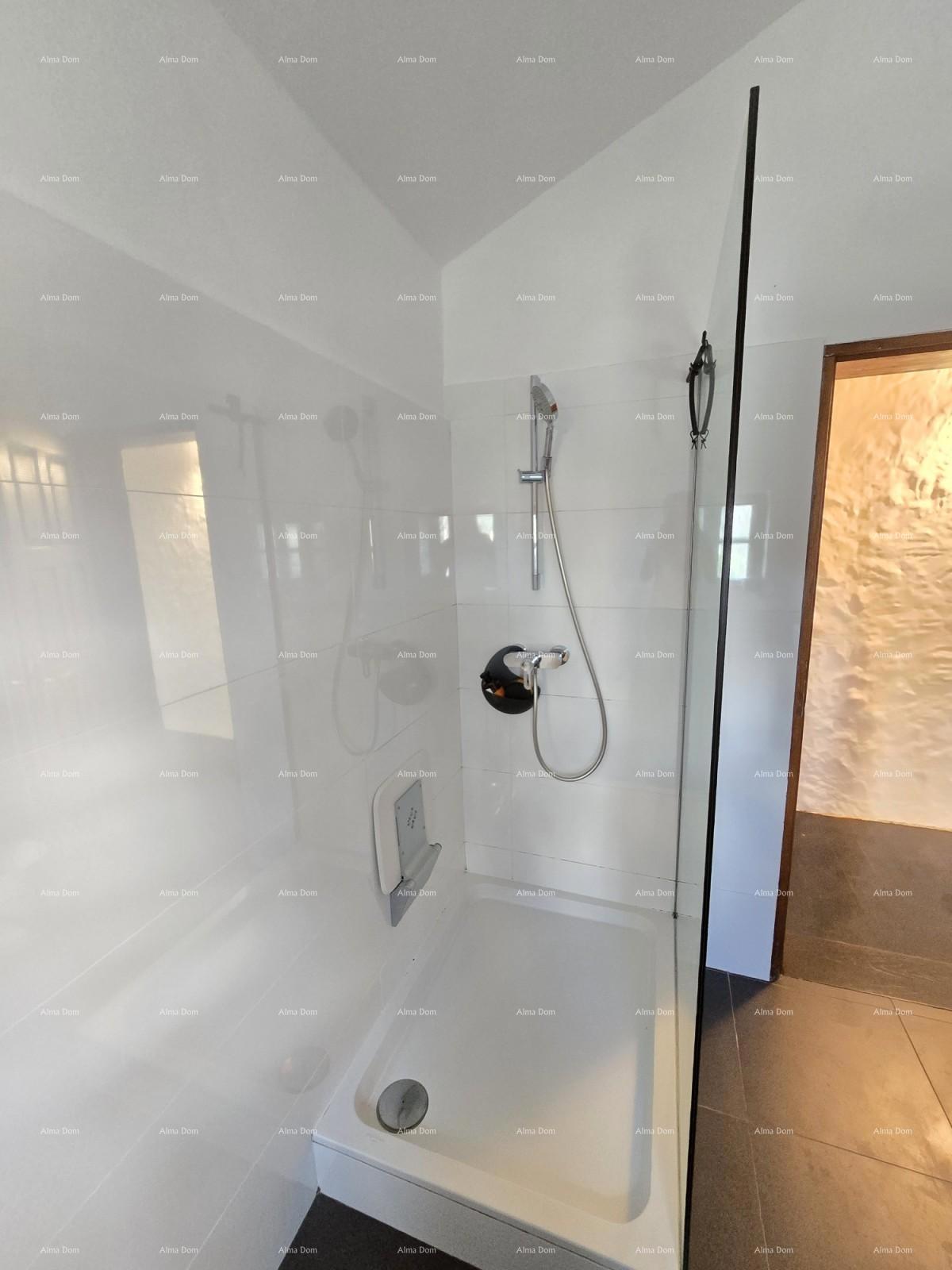 Elegantna kamena vila s bazenom in istarskim šarmom – popolna kombinacija tradicije in luksuza, Tinjan!