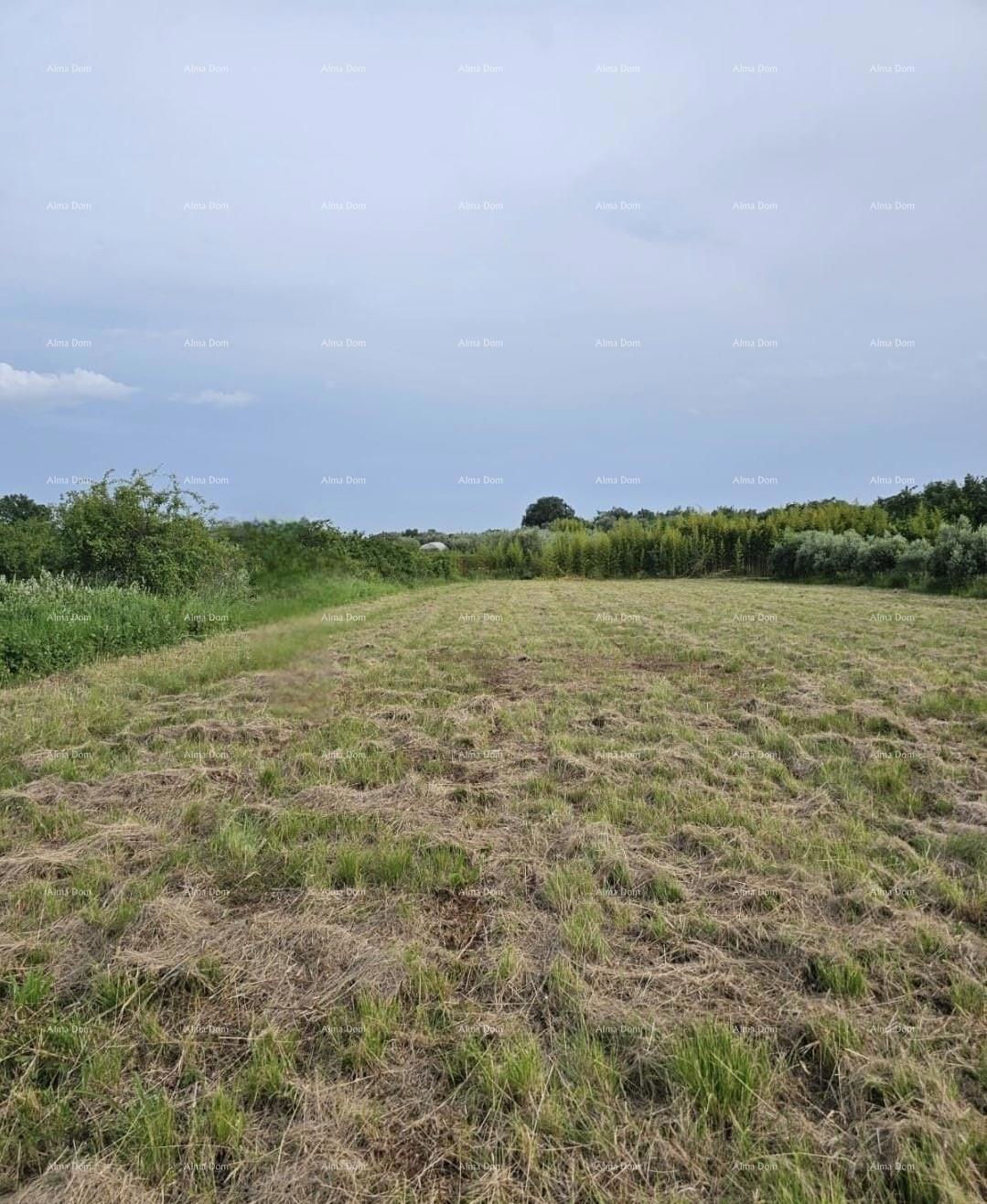 Prodaja - gradbeno zemljišče površine 500 m2, Umag!