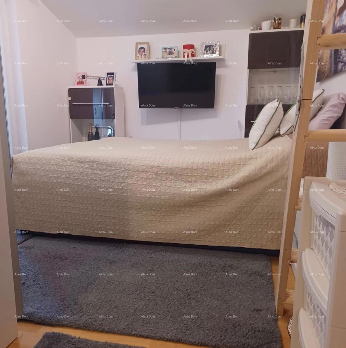 Lep, funkcionalen stan v mirnem delu Medulina