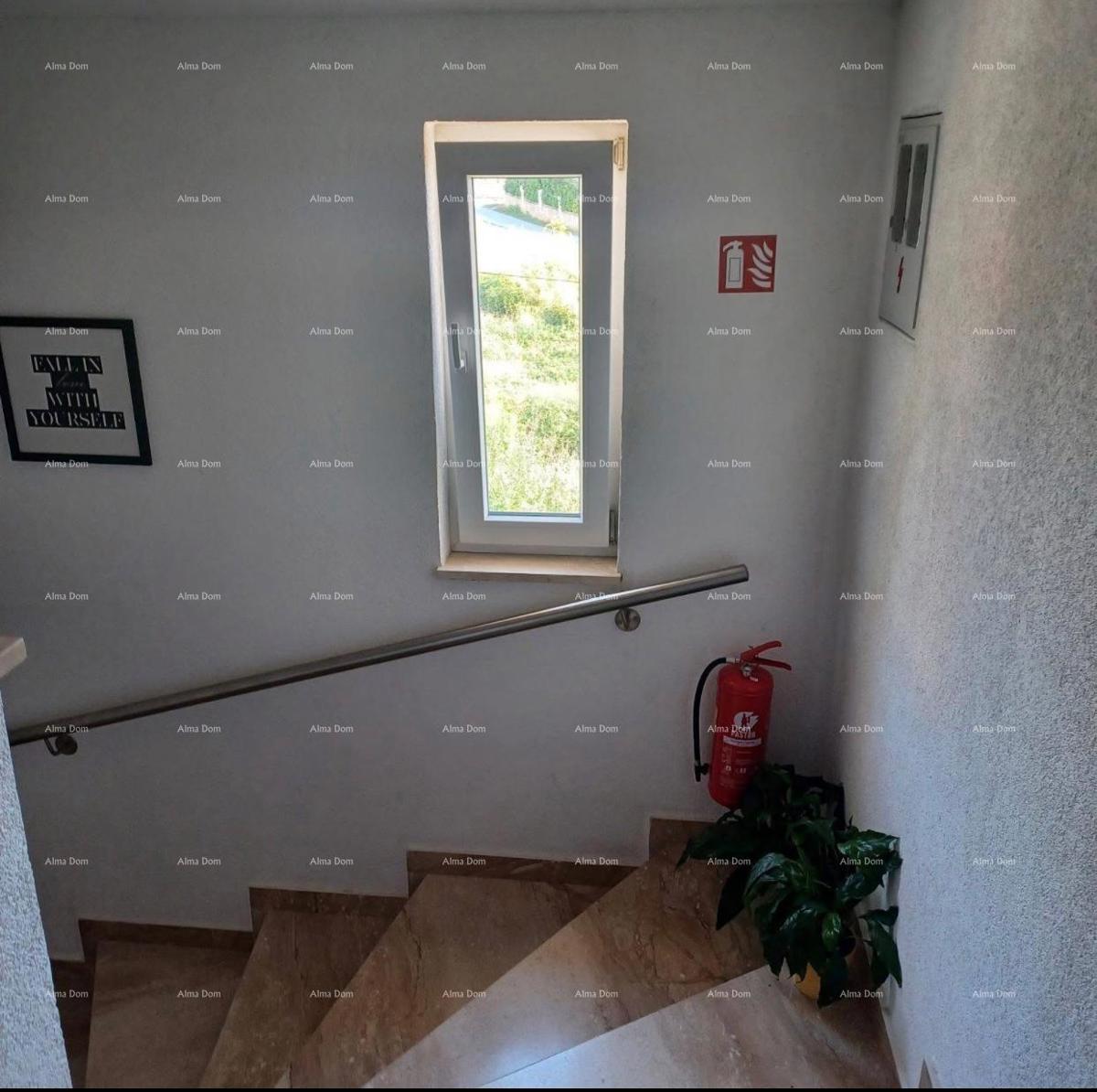 Lep, funkcionalen stan v mirnem delu Medulina