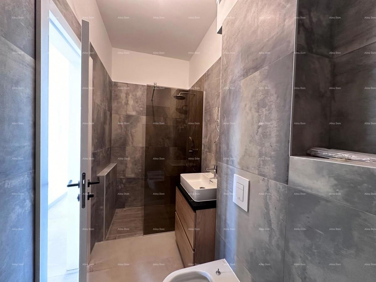 The translation of the title