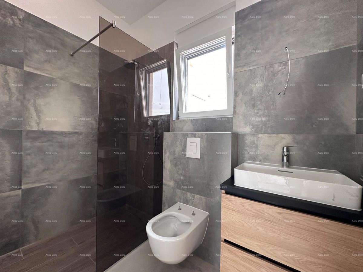 The translation of the title