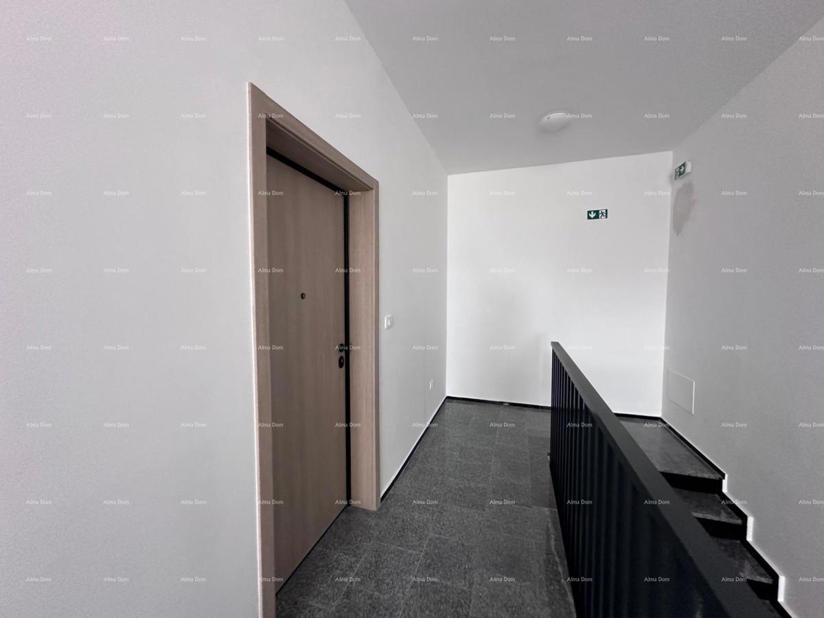 The translation of the title