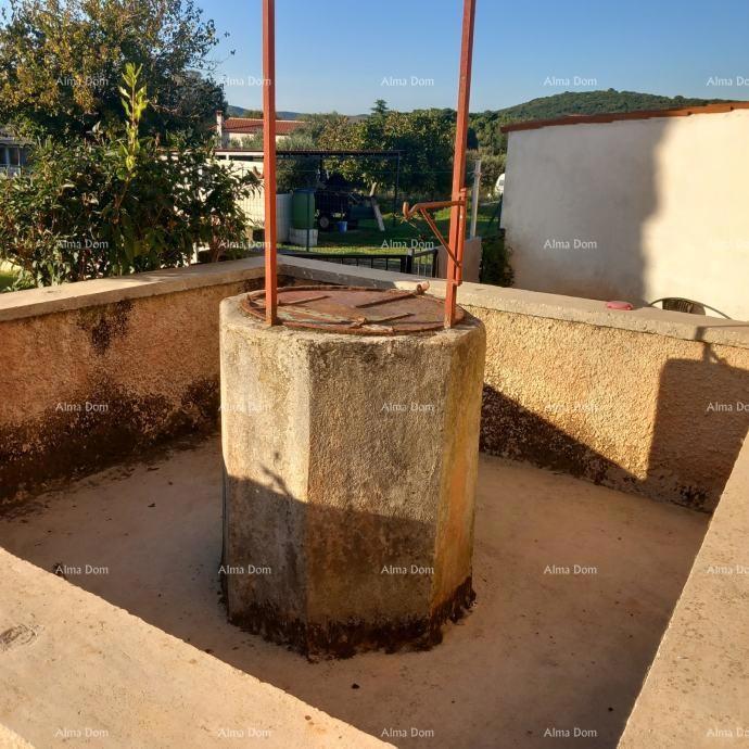 Odlična priložnost - posest s kamnito hišo, velikim zemljiščem in pomožnimi objekti - blizu Rovinja!