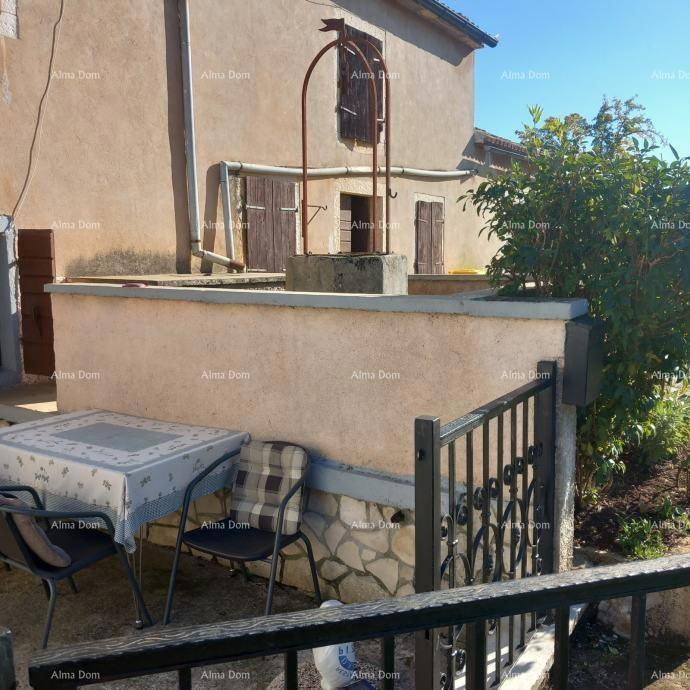 Odlična priložnost - posest s kamnito hišo, velikim zemljiščem in pomožnimi objekti - blizu Rovinja!