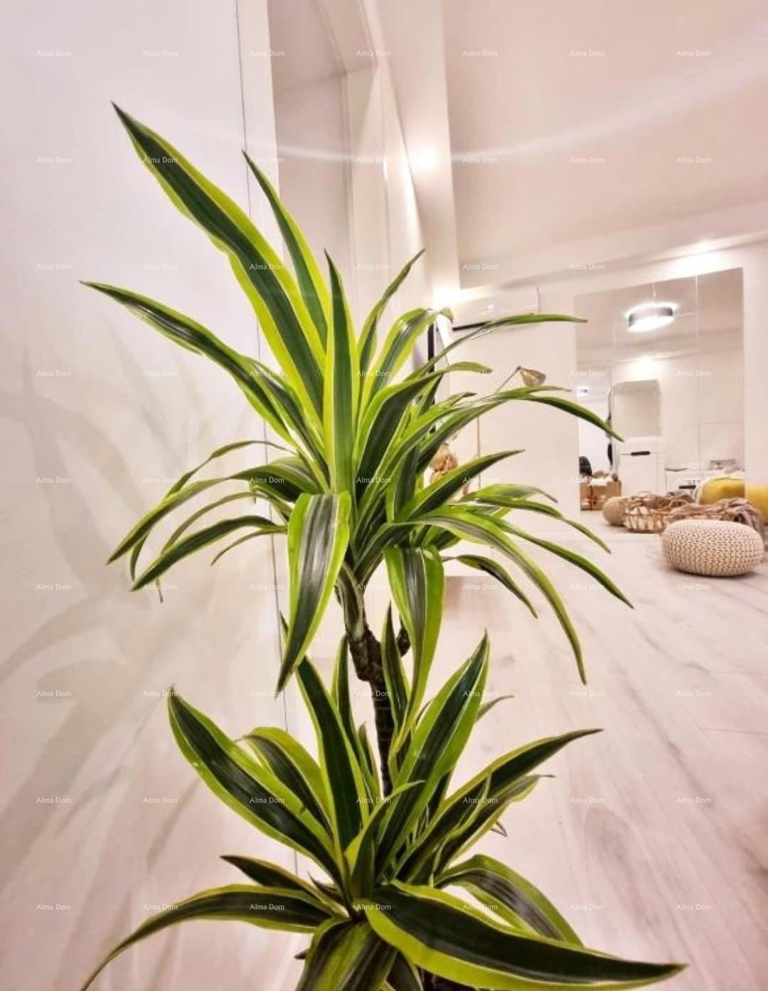 Pula, Arena – Popolnoma prenovljeno stanovanje v bližini Arene