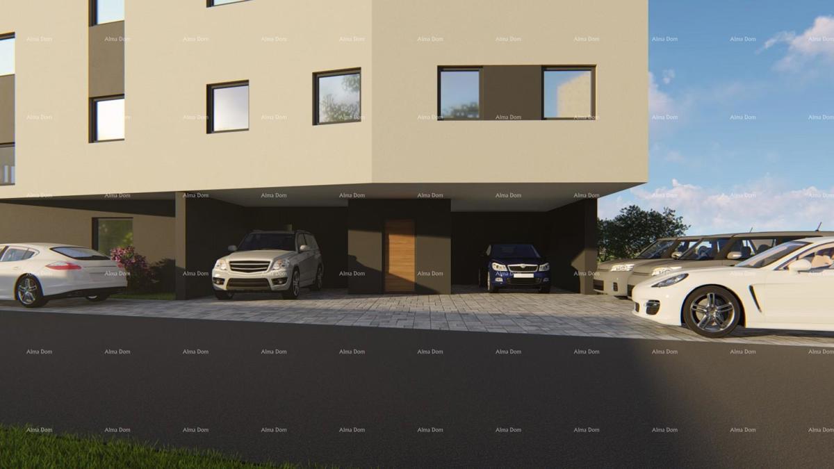 The translation of the title