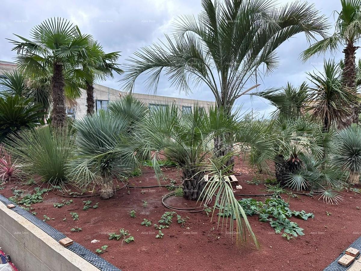 Prodamo stanovanja v novem poslovno-stanovanjskem objektu, Poreč, C303-stavba C