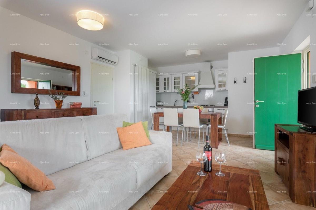 VILA S DVA APARTMAJA IN BAZENOM, OKOLICA LABINA