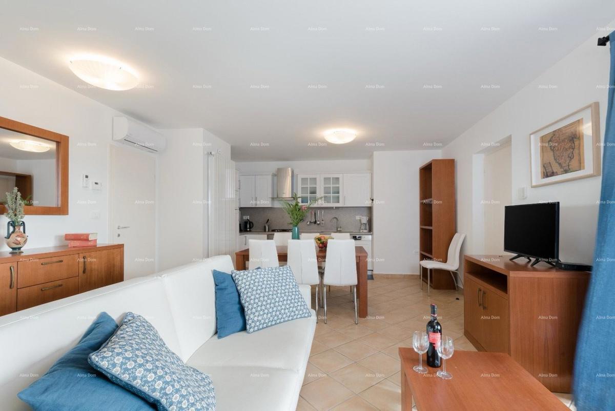 VILA S DVA APARTMAJA IN BAZENOM, OKOLICA LABINA