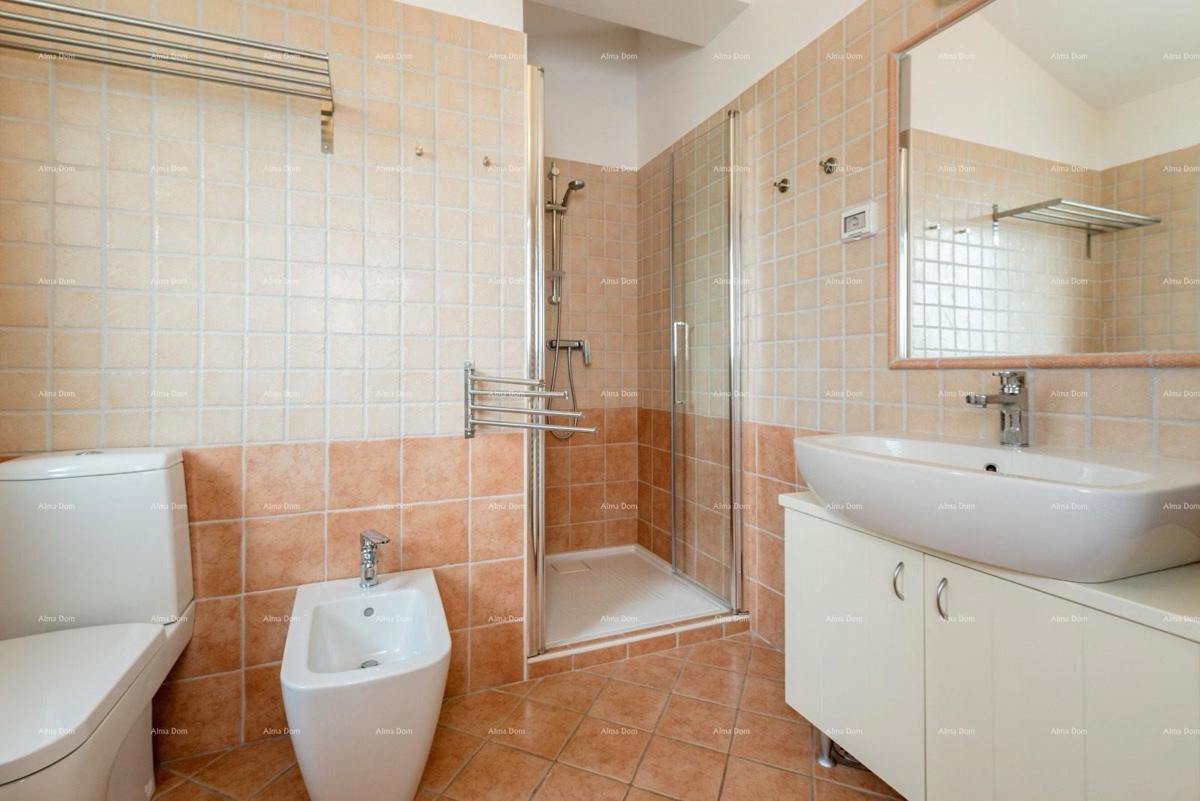 VILA S DVA APARTMAJA IN BAZENOM, OKOLICA LABINA