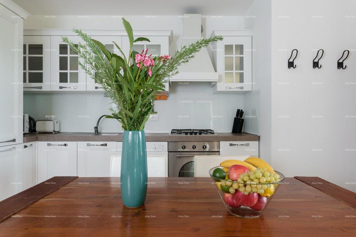 VILA S DVA APARTMAJA IN BAZENOM, OKOLICA LABINA