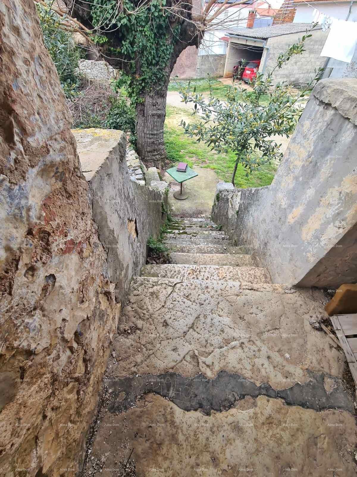 The translation of the title