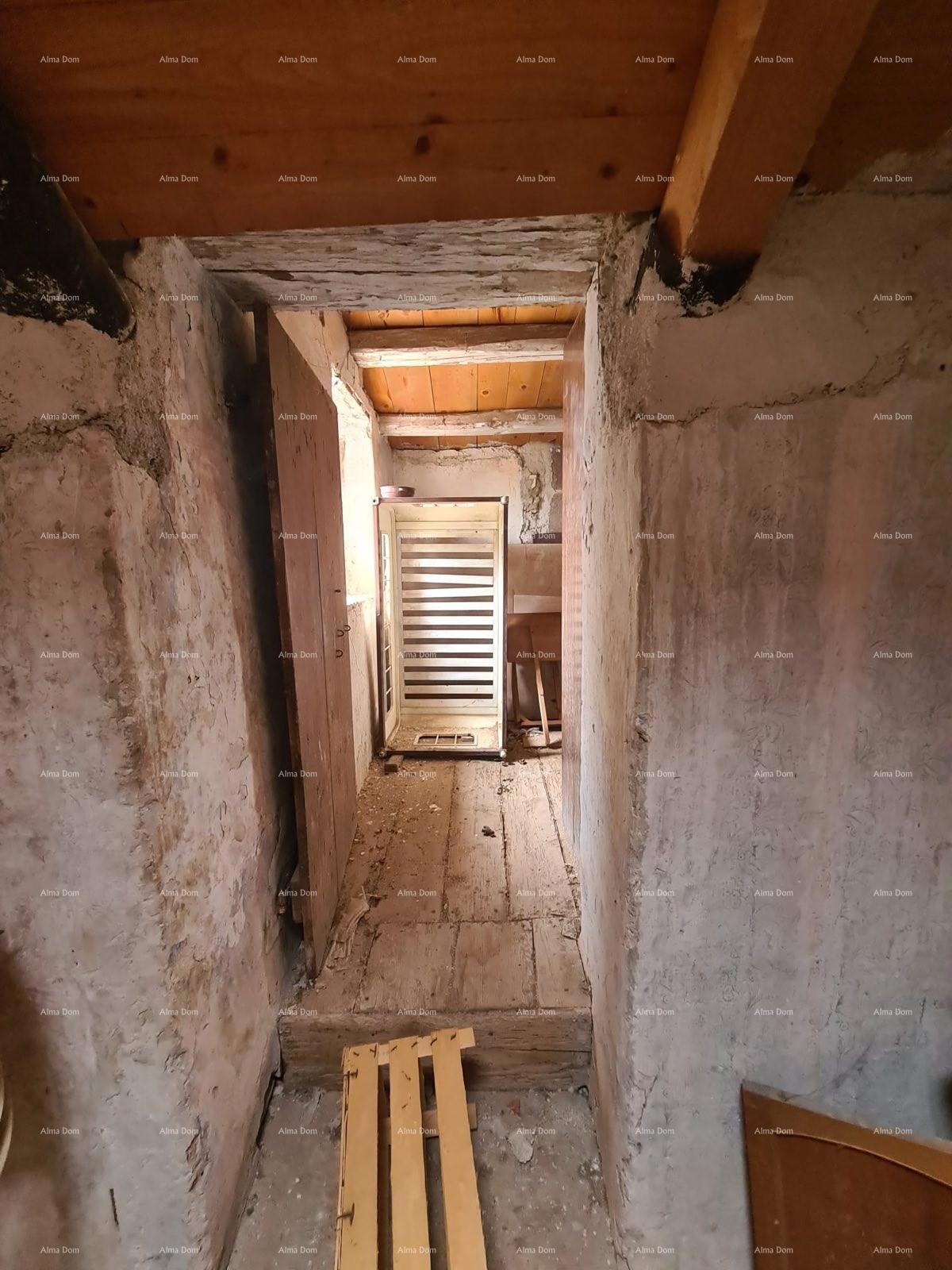 The translation of the title