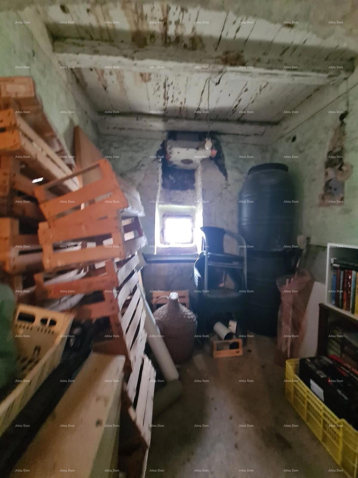 The translation of the title