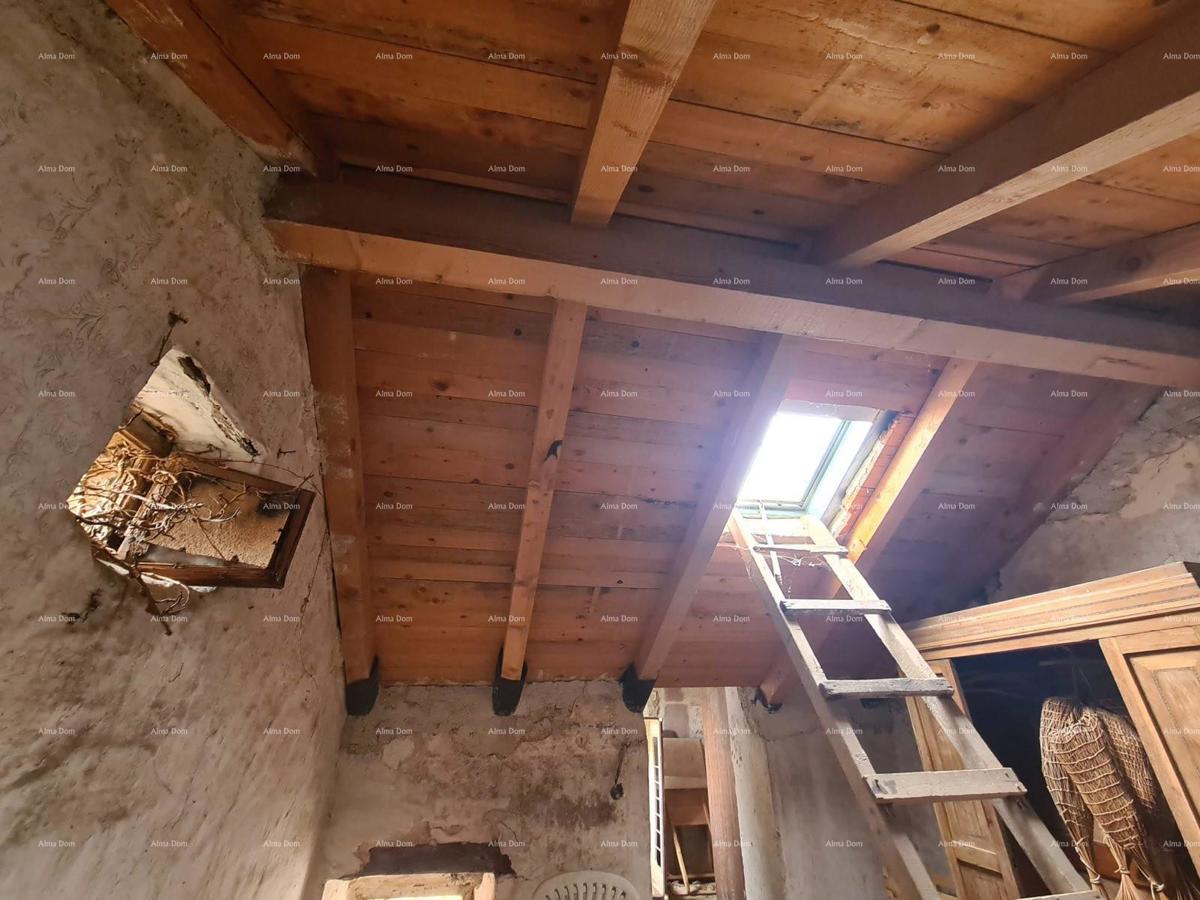 The translation of the title