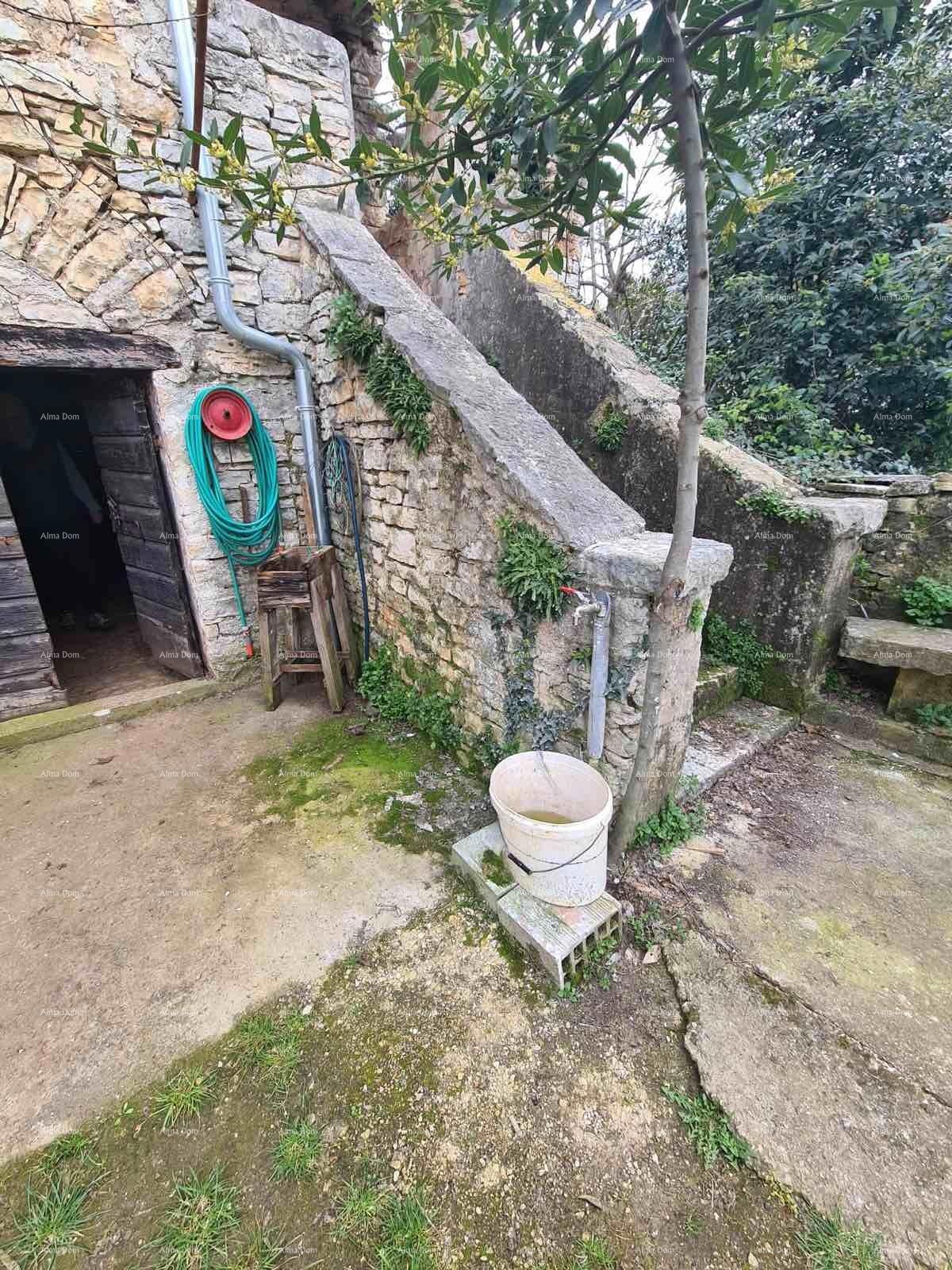 The translation of the title