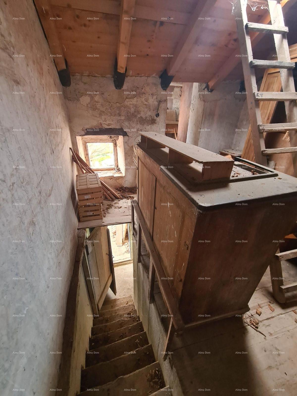 The translation of the title