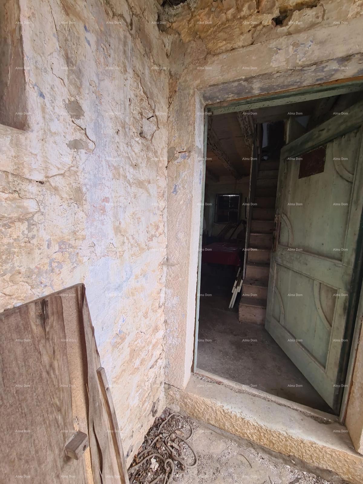 The translation of the title