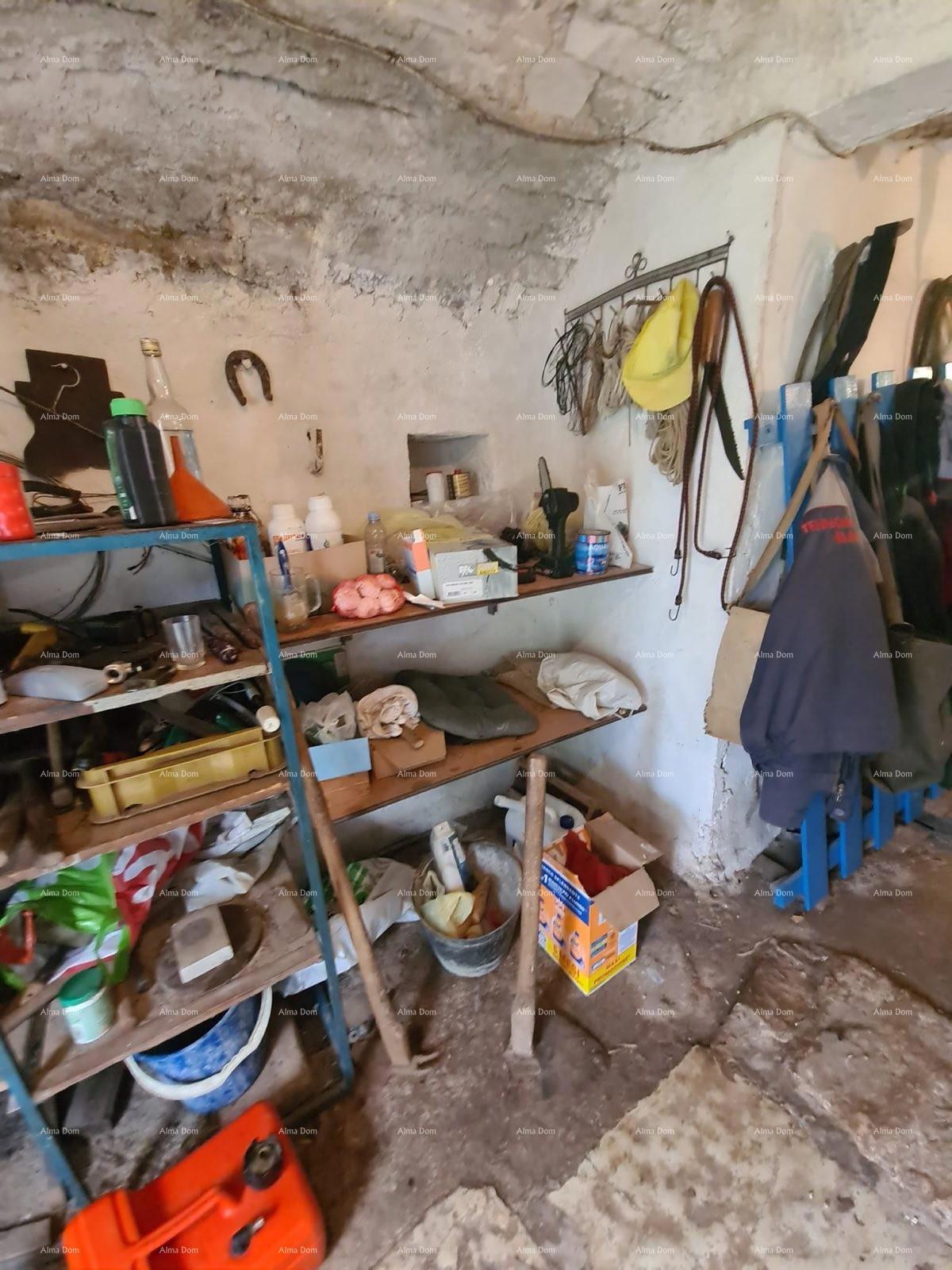 The translation of the title