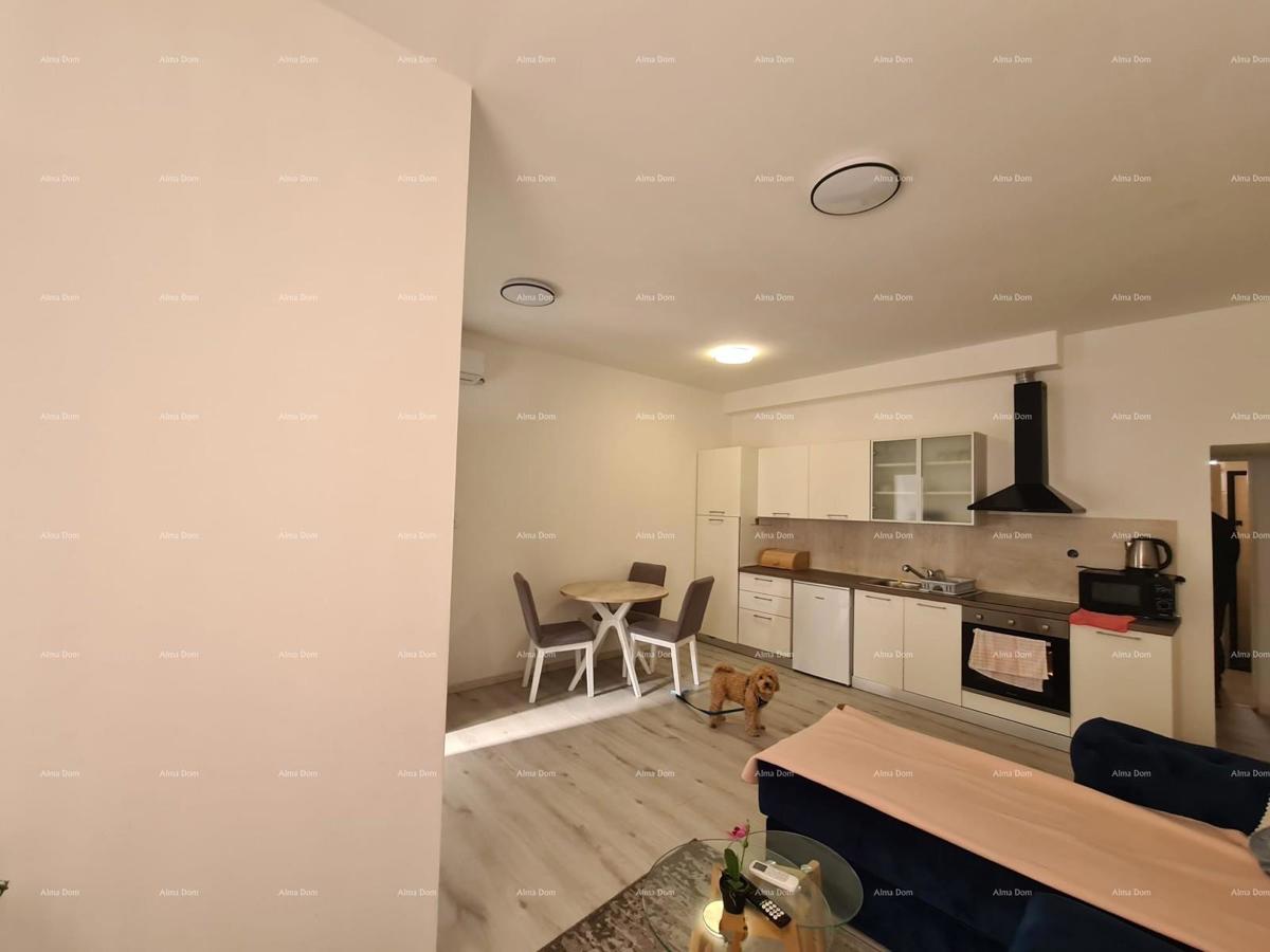 Prodaja stan s dvema apartmajema – Pula
