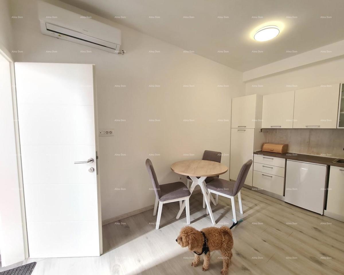 Prodaja stan s dvema apartmajema – Pula